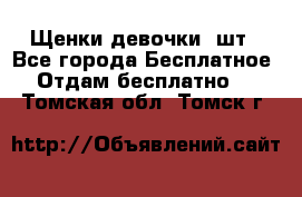 Щенки девочки 4шт - Все города Бесплатное » Отдам бесплатно   . Томская обл.,Томск г.